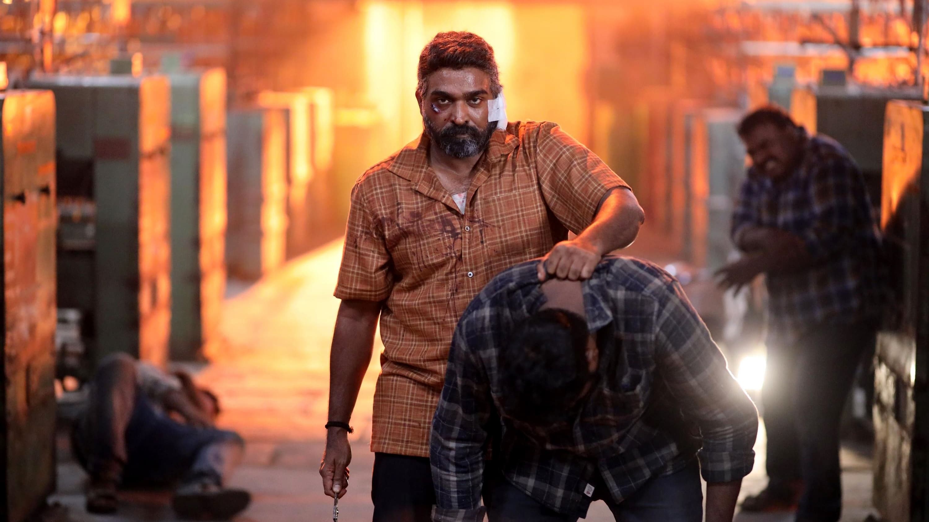 Maharaja Screenshot 3